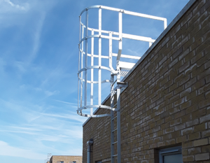 Ascent™ Ladders